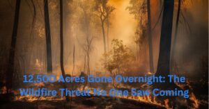 Aerial view of wildfire smoke rising over New Jersey's Pine Barrens, showing scorched trees and emergency response teams battling the blaze