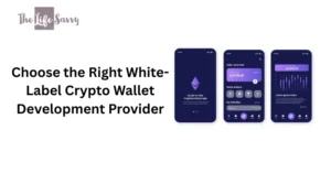 choose right white-label crypto wallet development provider