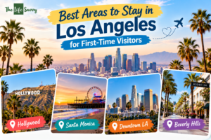 Best Area to Stay in Los Angeles for First-Time Visitors