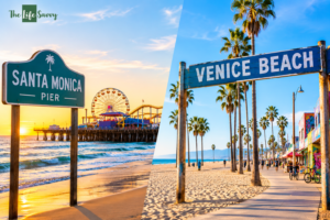 Santa Monica vs Venice Beach
